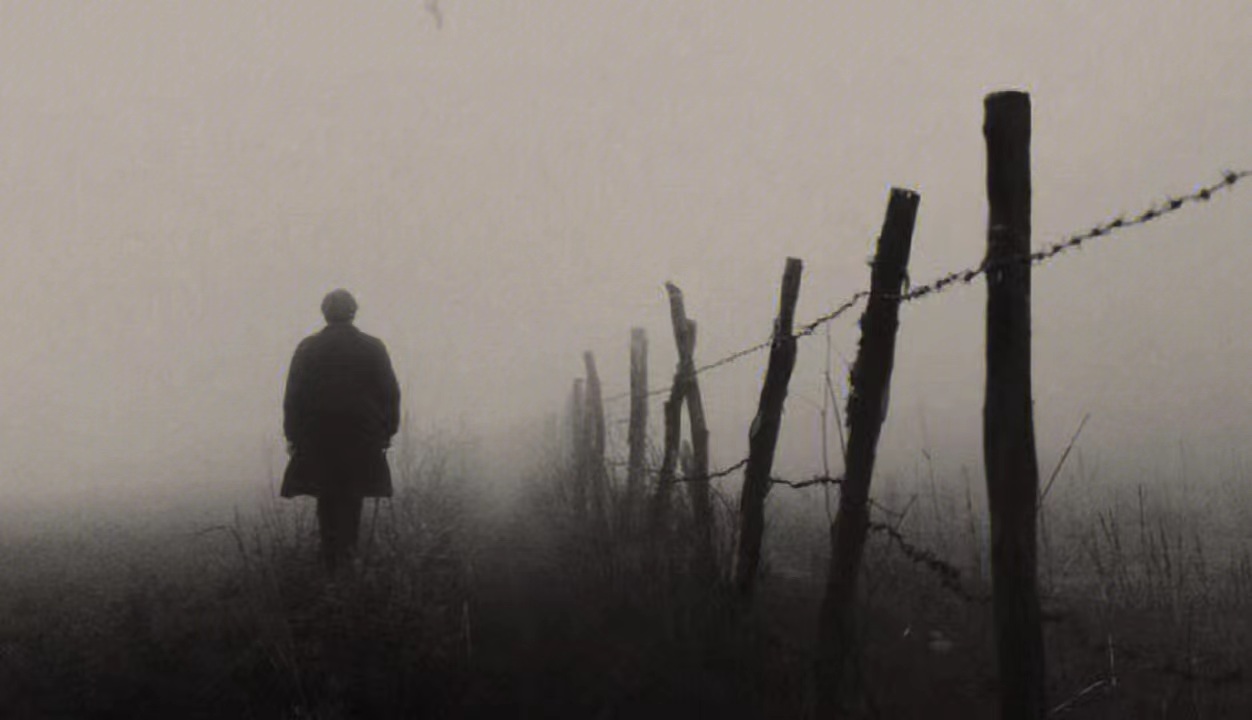 忽见海 无限婆娑