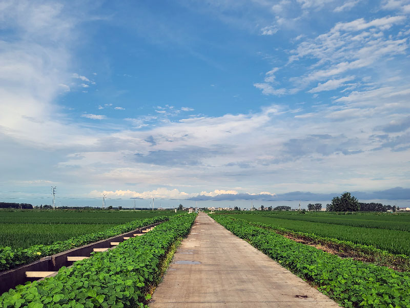 又是一年暑期之旅